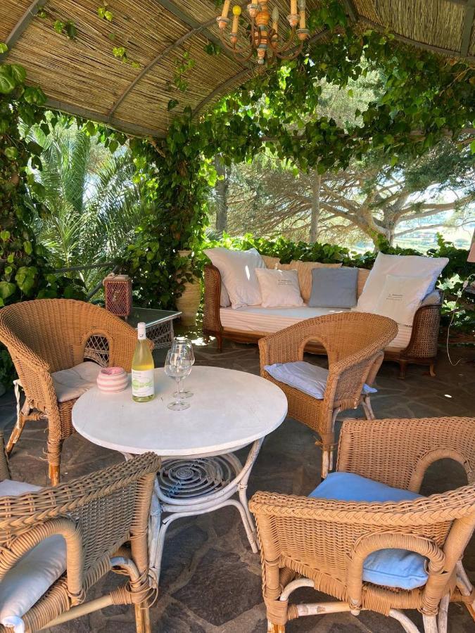 B&B Villa Il Poggetto Вентурина Экстерьер фото