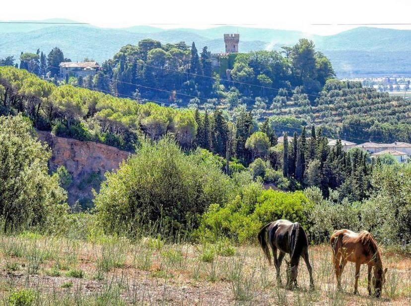 B&B Villa Il Poggetto Вентурина Экстерьер фото