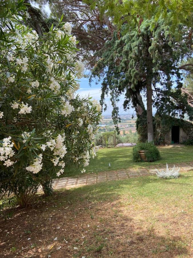 B&B Villa Il Poggetto Вентурина Экстерьер фото