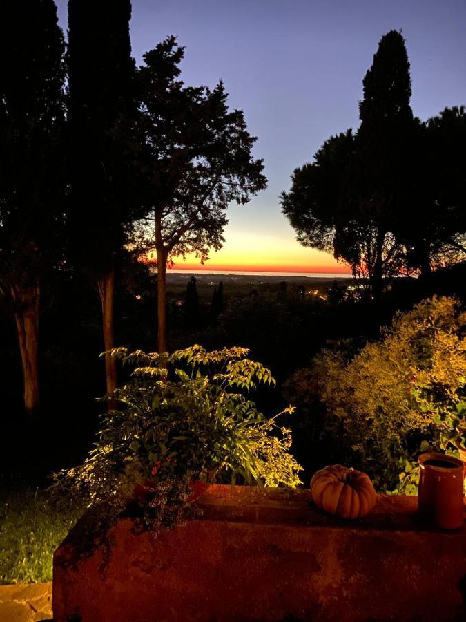 B&B Villa Il Poggetto Вентурина Экстерьер фото