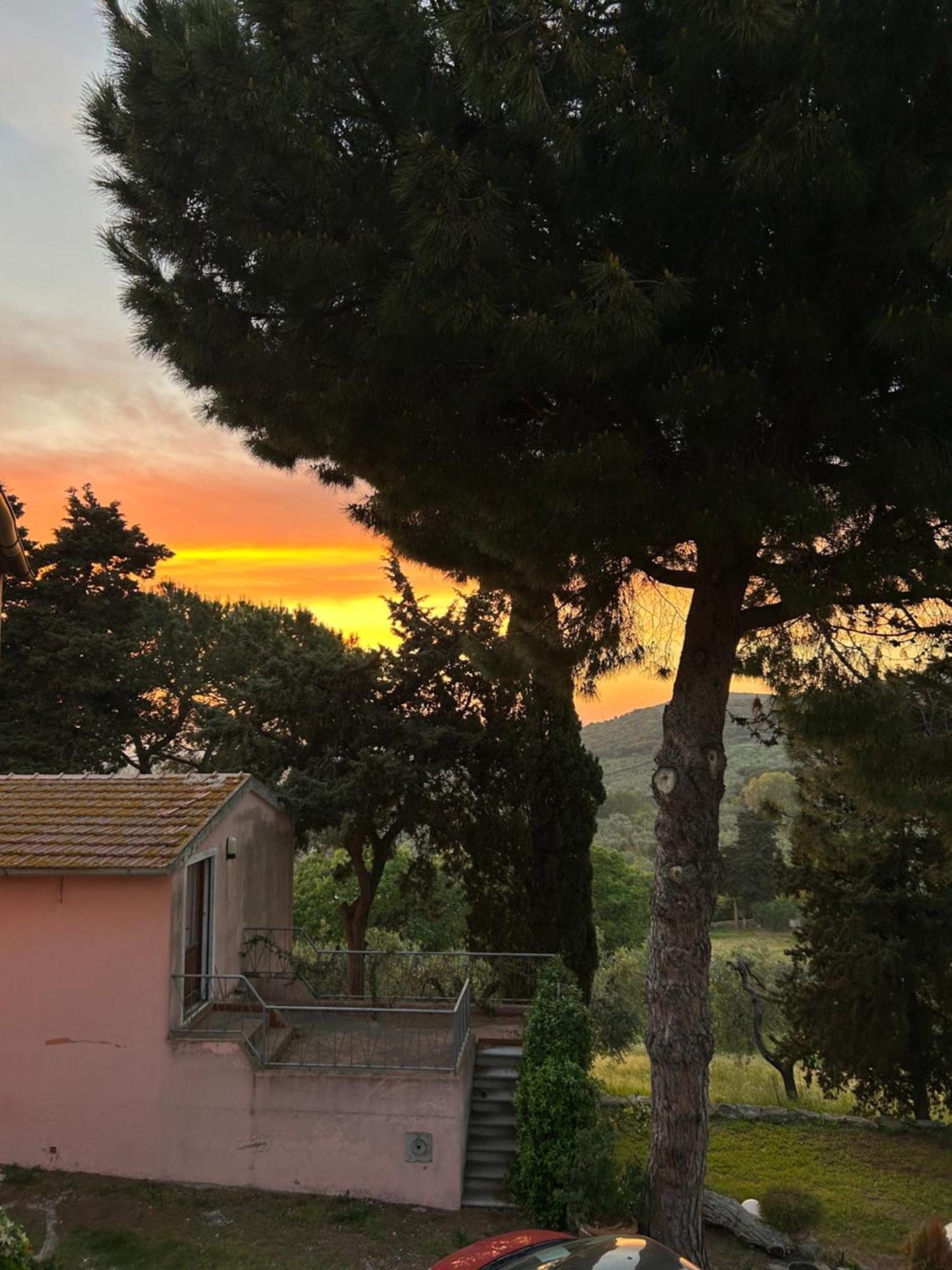 B&B Villa Il Poggetto Вентурина Экстерьер фото