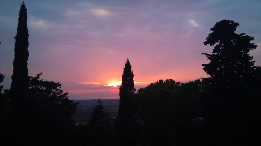 B&B Villa Il Poggetto Вентурина Экстерьер фото