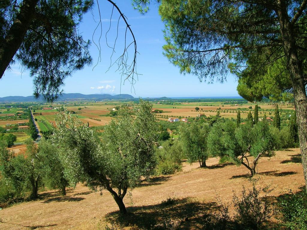 B&B Villa Il Poggetto Вентурина Экстерьер фото