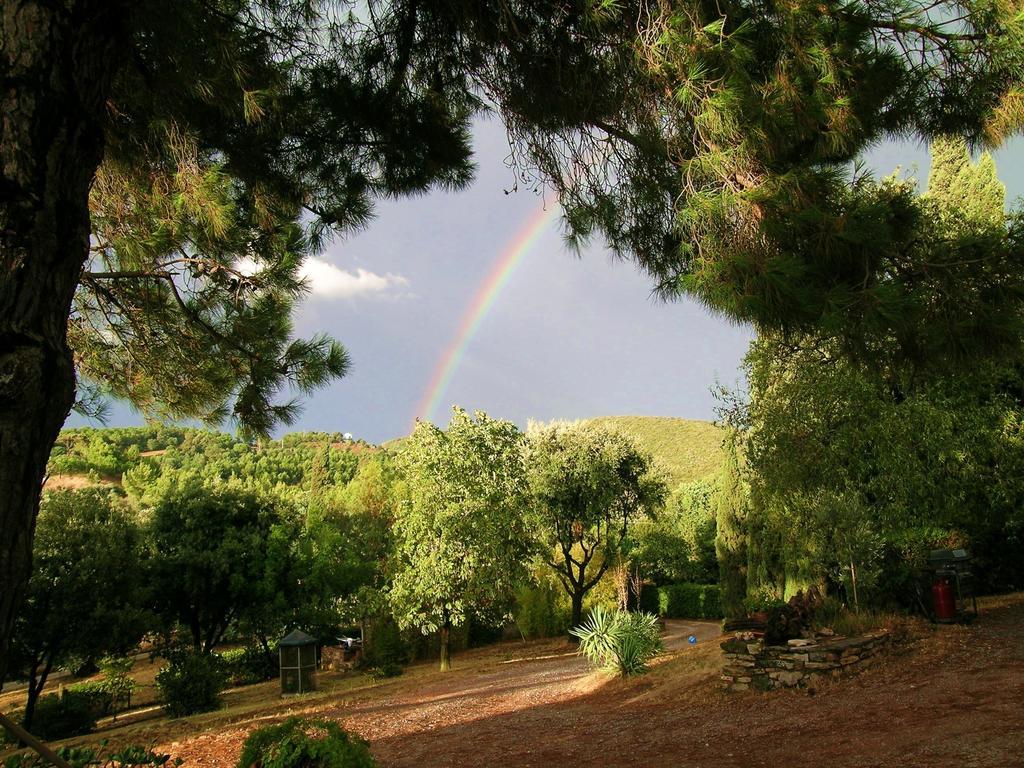 B&B Villa Il Poggetto Вентурина Экстерьер фото